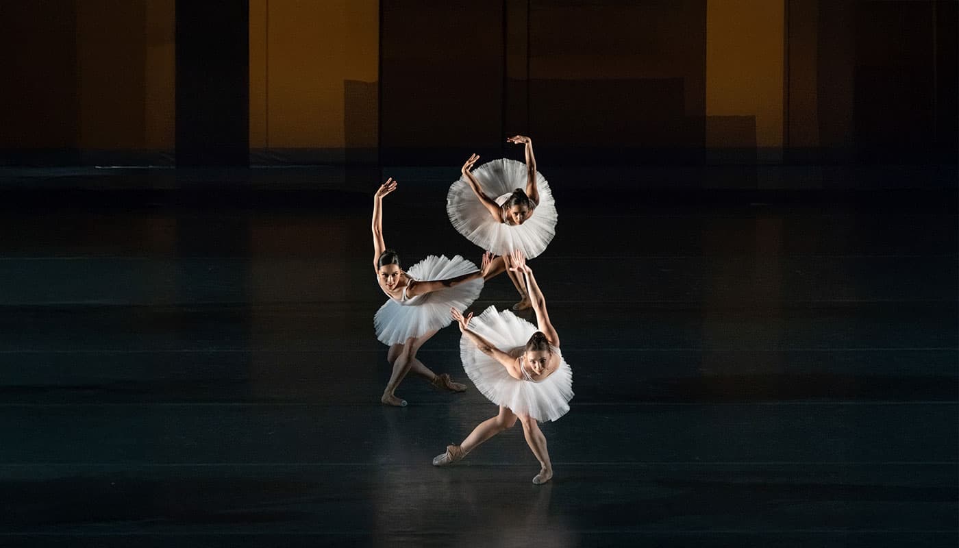 Margaret Alkek Williams Jubilee of Dance at Wortham Theater Center