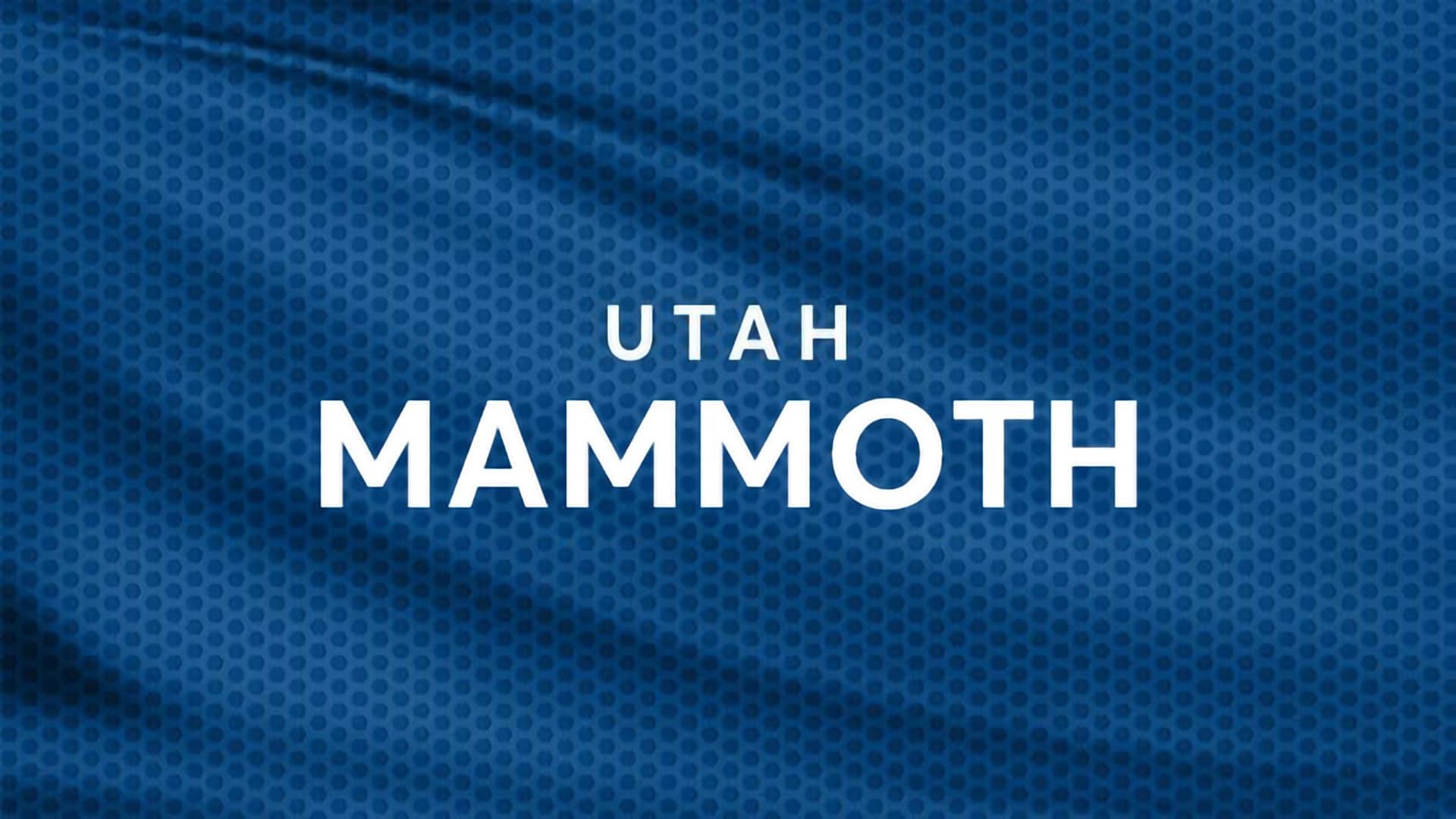 Utah Mammoth at Delta Center