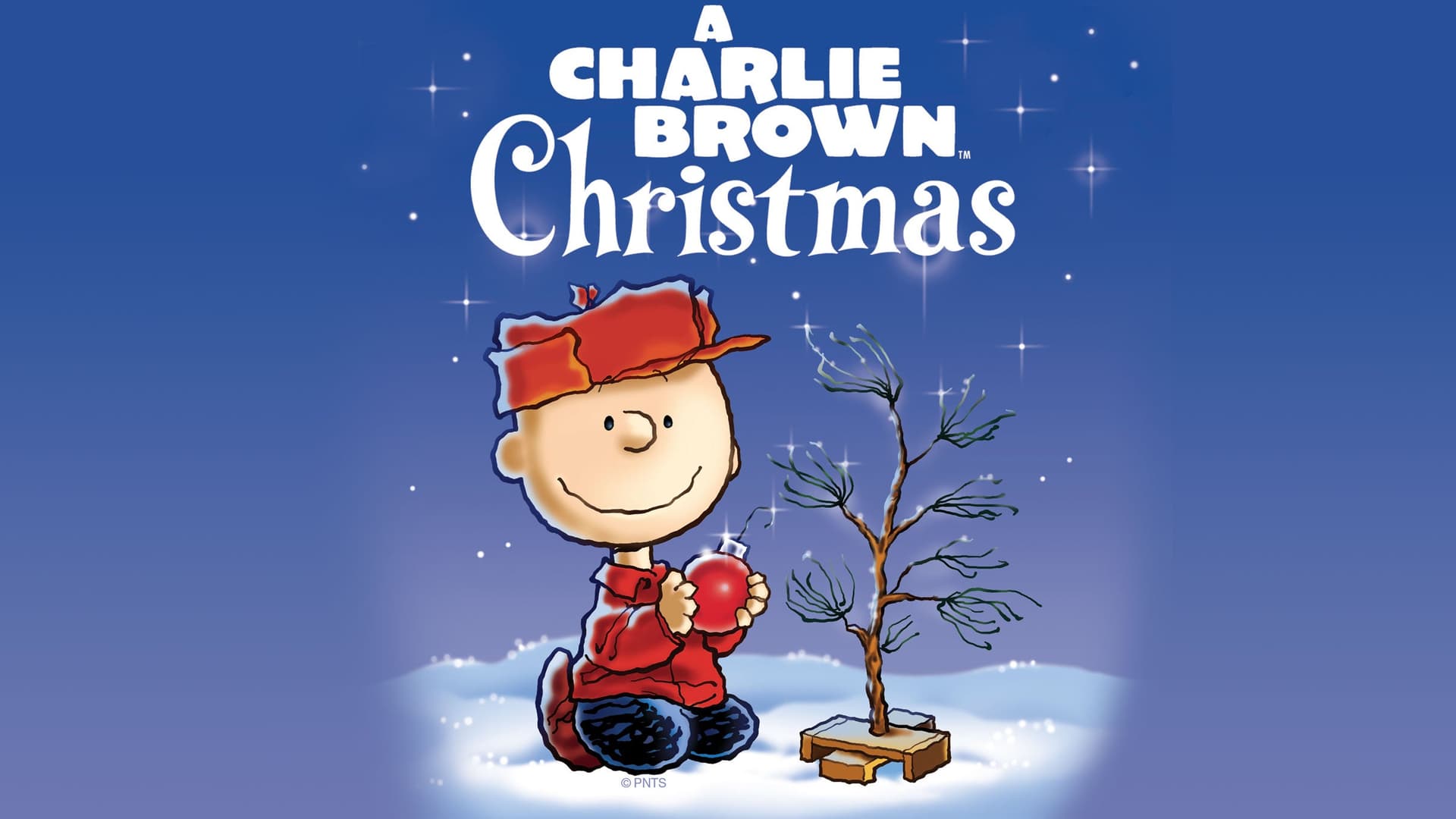 A Charlie Brown Christmas (Touring) at Lincoln Theatre