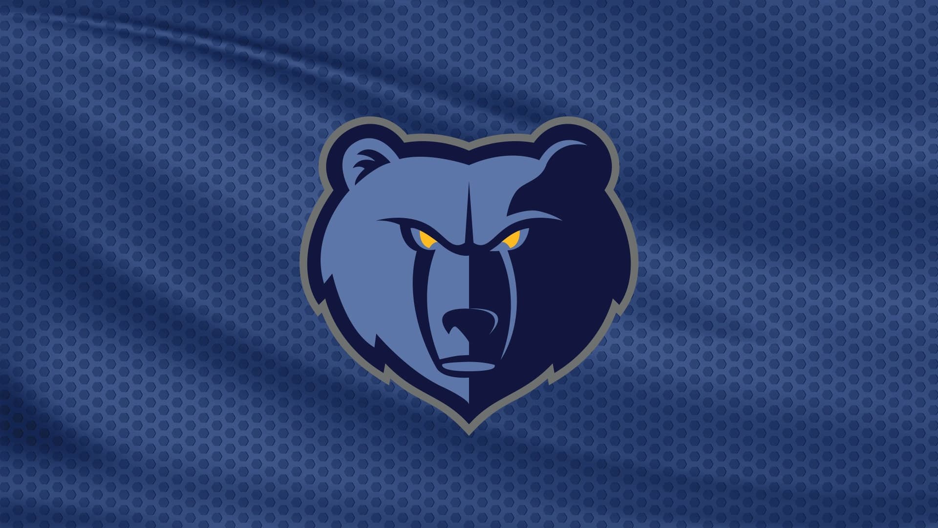 Memphis Grizzlies at FedExForum