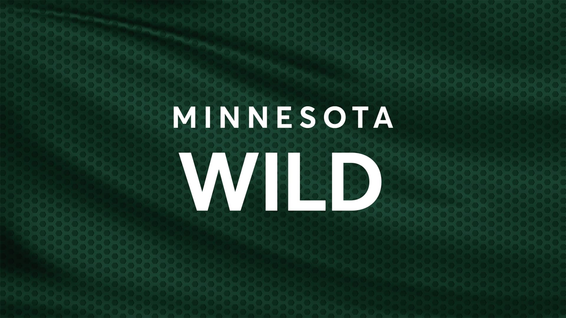 Minnesota Wild at Grand Casino Arena