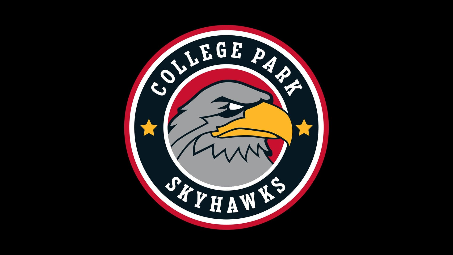 College Park Skyhawks at Gateway Center Arena