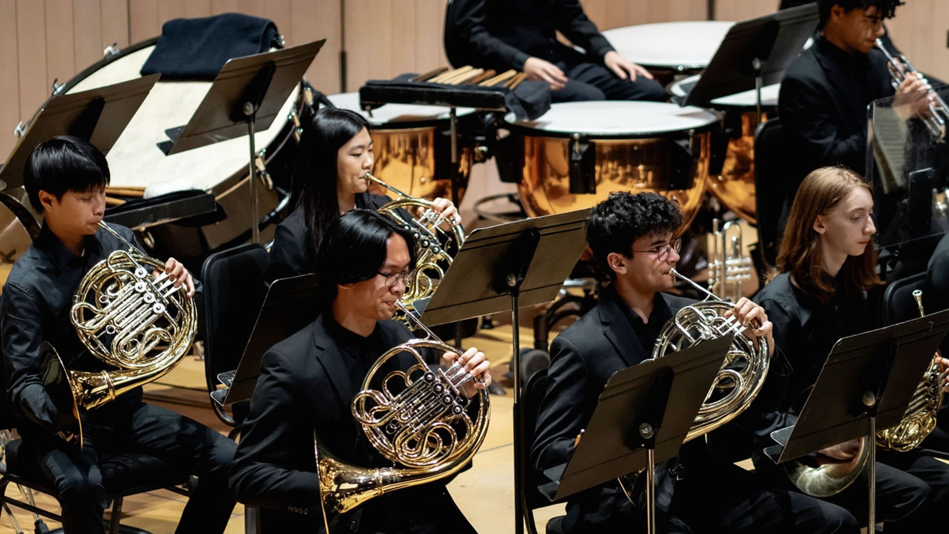Toronto Symphony Youth Orchestra at Meridian Arts Centre: George Weston