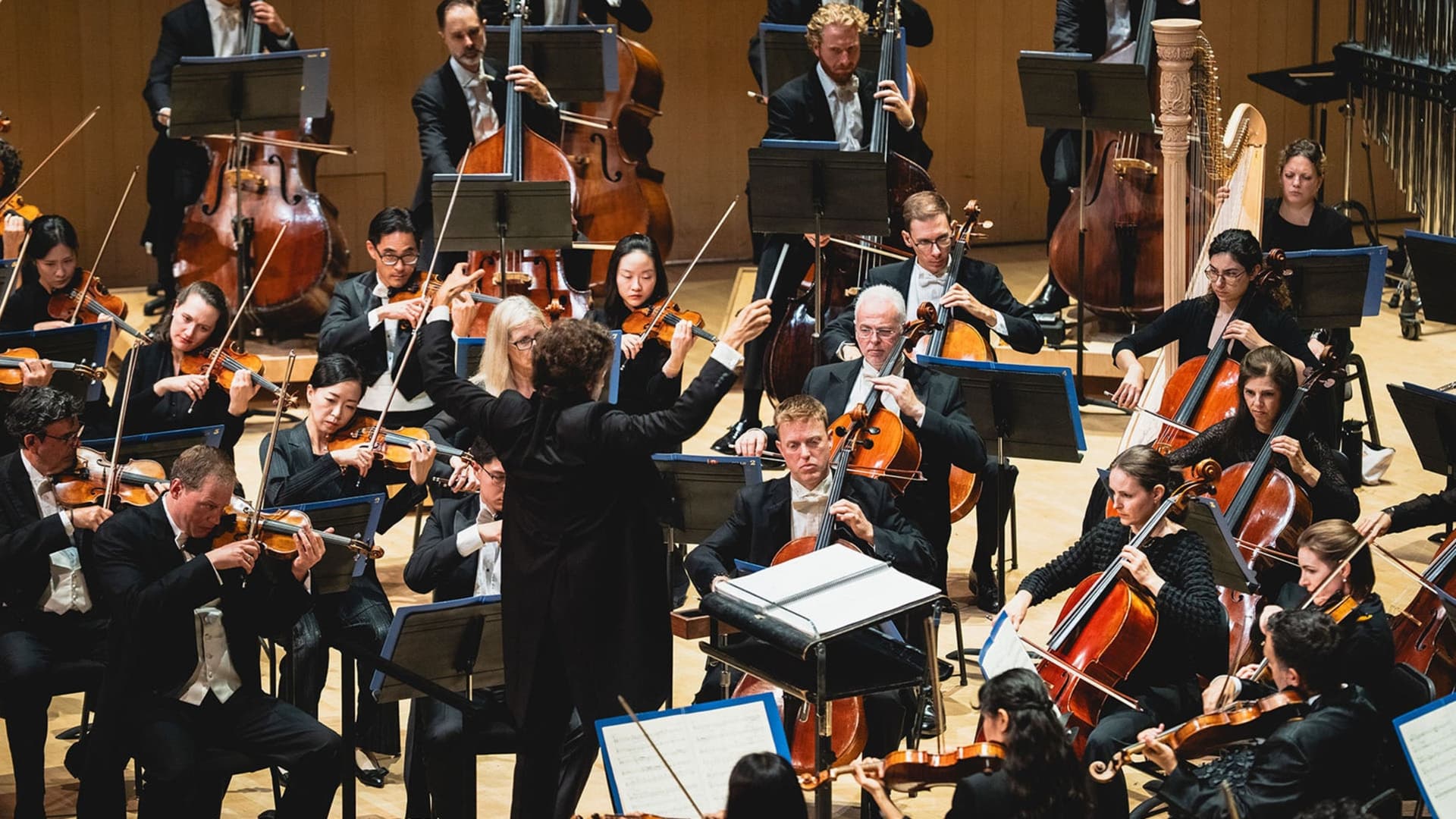 Toronto Symphony Orchestra at Meridian Arts Centre: George Weston