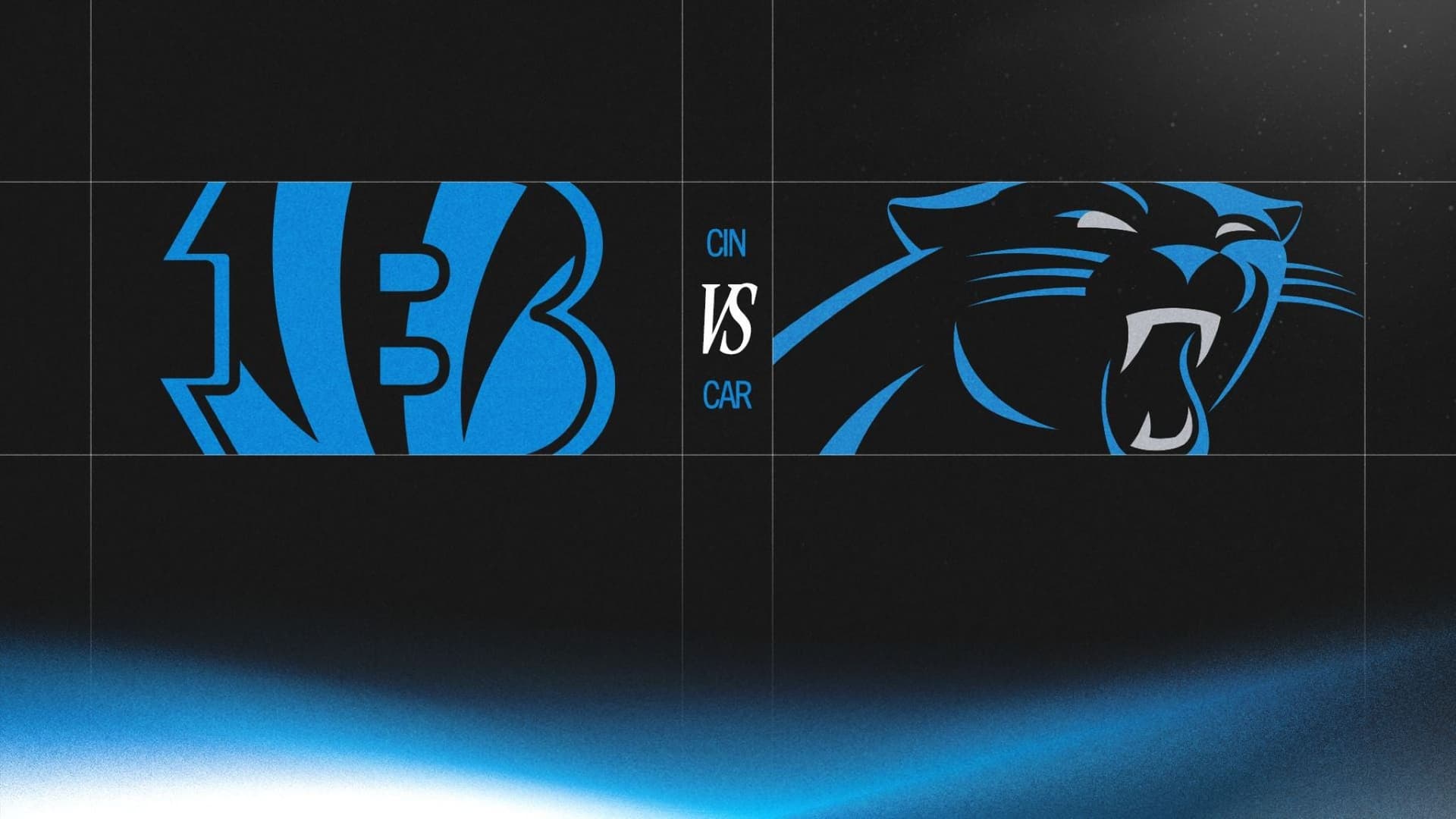 Carolina Panthers at Bank of America Stadium