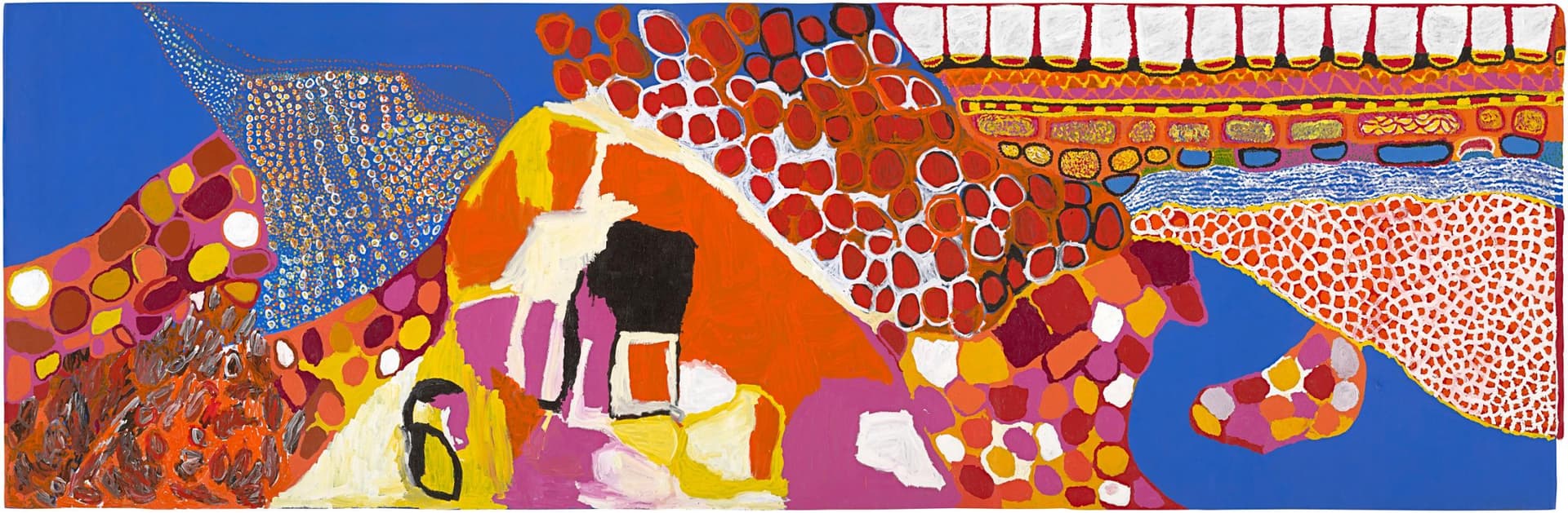 The Stars We Do Not See: Australian Indigenous Art at Denver Art Museum