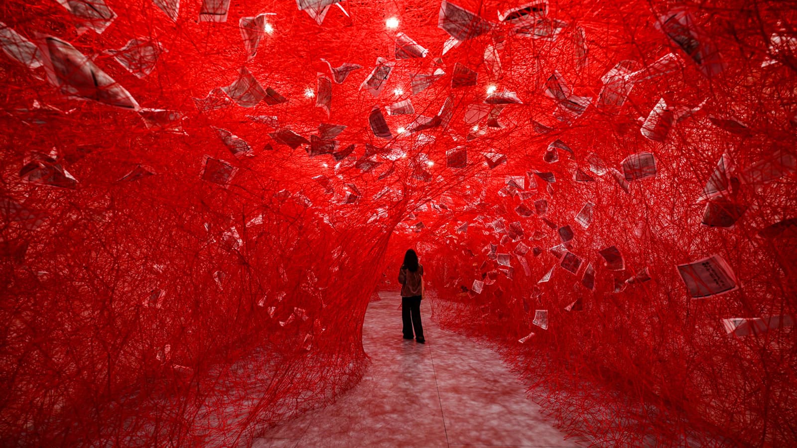Chiharu Shiota: Two Home Countries at Asian Art Museum