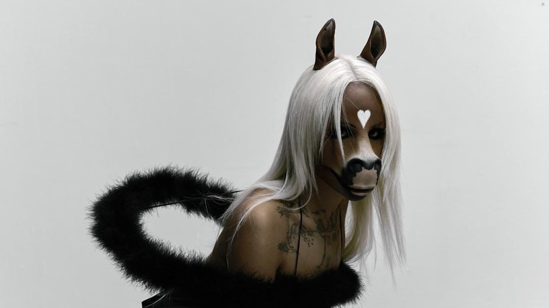 horsegiirL at History
