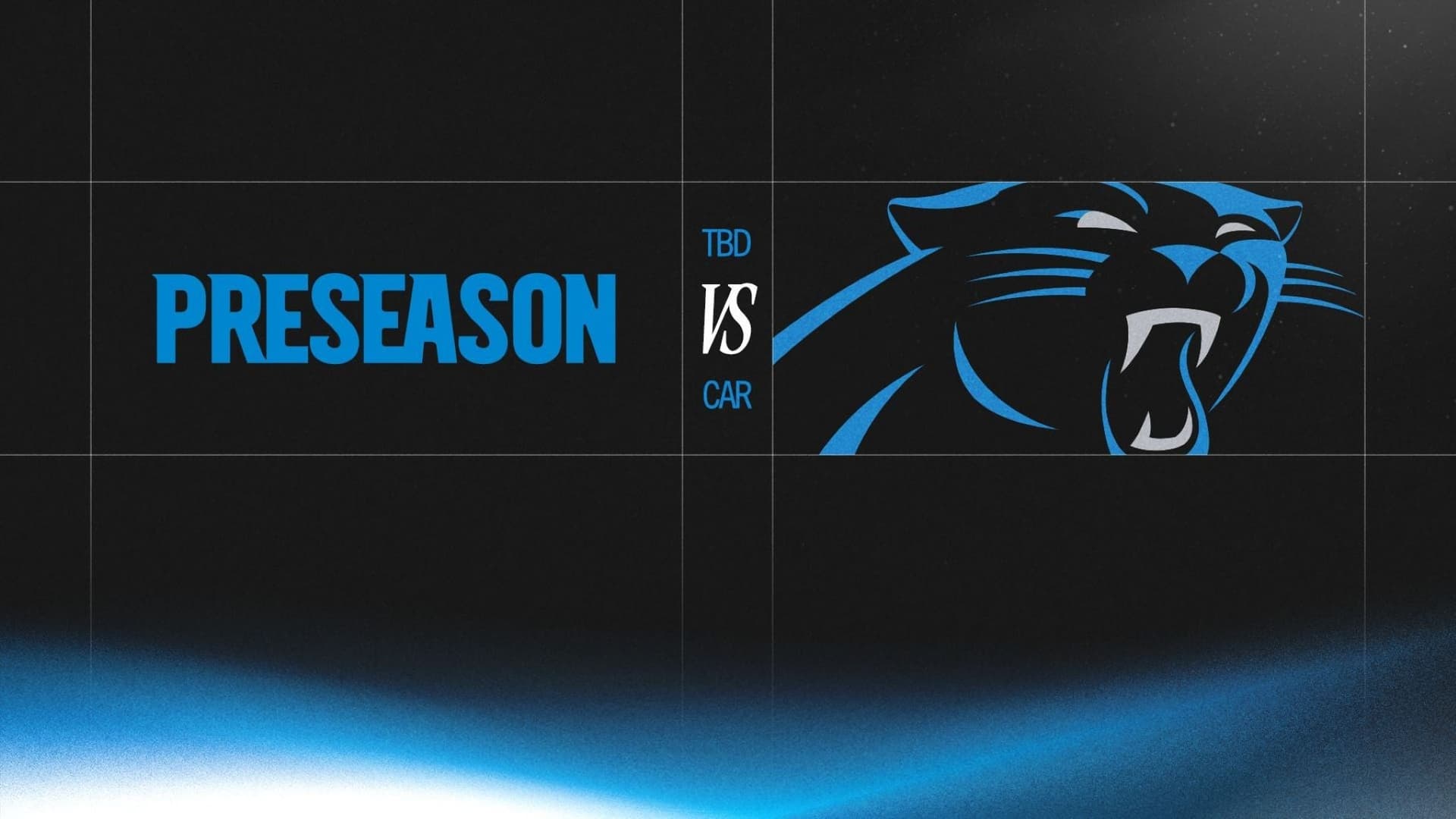 Carolina Panthers at Bank of America Stadium