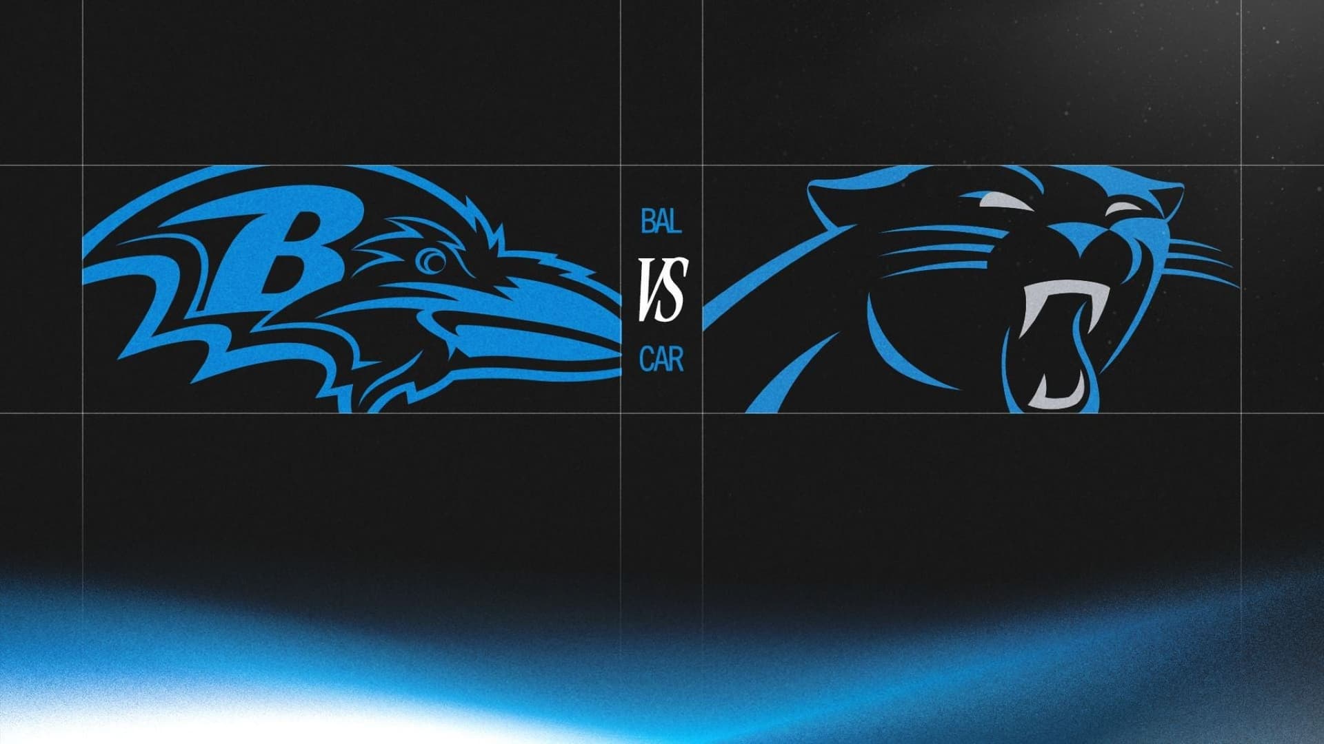 Carolina Panthers at Bank of America Stadium