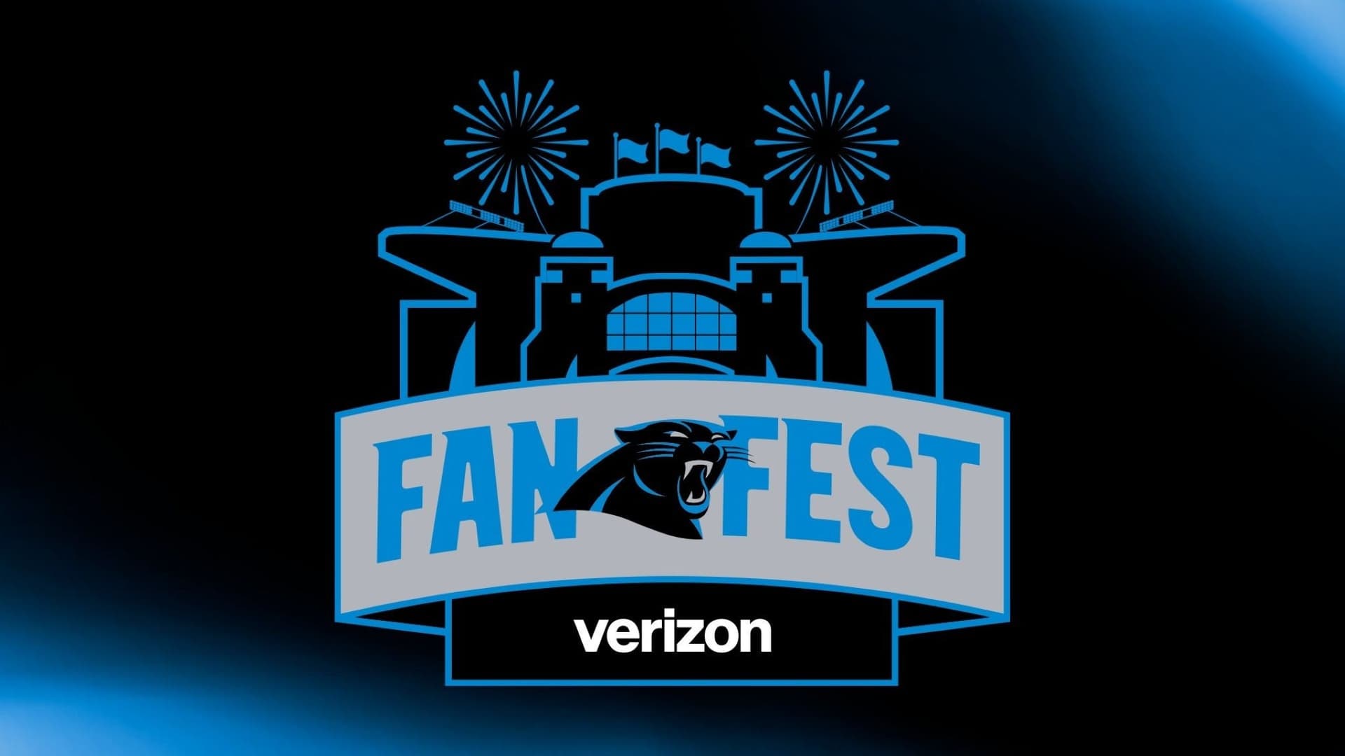 Carolina Panthers at Bank of America Stadium